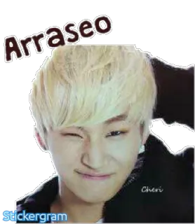 😉 Arraseo K-pop, Coreano, Uomo, Occhiolino, Persona, Espressione whatsapp sticker