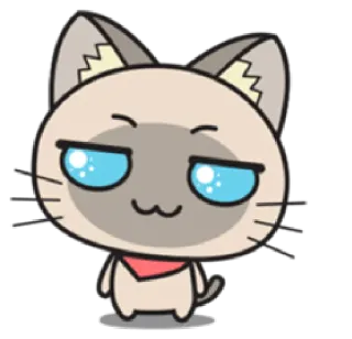 🙂 gato, animal, fofo, desenho animado, siamês whatsapp sticker