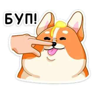👃 БУП! หมา, คอร์กี้, น่ารัก, เนย, จิ้ม, การ์ตูน telegram sticker