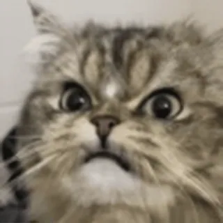 😠
