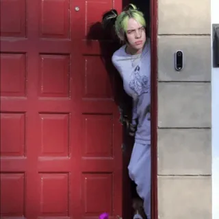 🕸 Billie Eilish ミュージシャン, 歌手, 有名人, 人物 telegram sticker