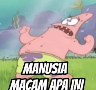 ➖ Patrick Star Spongebob Squarepants MANUSIA MACAM APA INI patrick, spongebob, mème, dessin animé, drôle telegram sticker