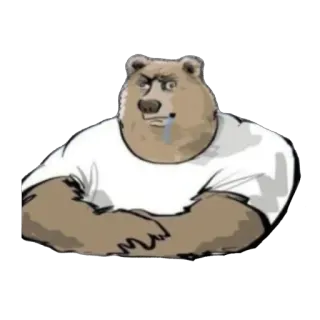⚽️ Bär, Tier, Cartoon, Figur telegram sticker