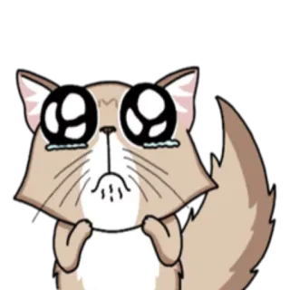 🙏 cat, cute, crying, sad, cartoon, animal telegram sticker