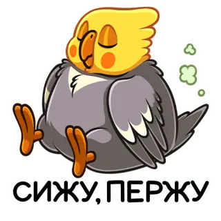 ☺️ СИЖУ, ПЕРЖУ pássaro, calopsita, papagaio, relaxado, dormindo, fofo telegram sticker