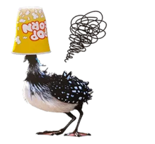 🙈 鳥, ポップコーン, 動物, 食べ物, 面白い telegram sticker