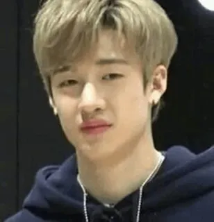 🌿 persona, faccia, espressione, ritratto, uomo, kpop, Bang Chan whatsapp sticker