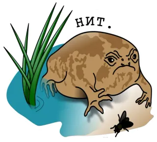 🙅‍♂️ нит. frog, grass, fly, angry, meme, animal, water telegram sticker