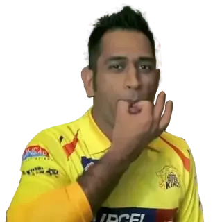 CSK Stickers By @Tamil_StickerzZ telegram stickers