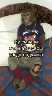 ❤️ Ну сматри если атсасош тагда падумаю ลิง, สัตว์, เสื้อยืด, เครื่องประดับ, นอน telegram sticker