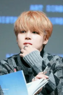 Fansign @park_chim whatsapp stickers