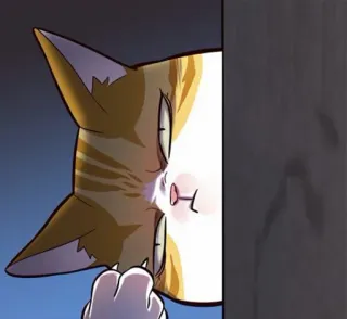 🐈 gato, mirando, gracioso, dibujos animados telegram sticker