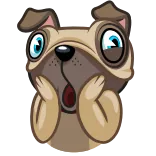 😨 chien, mignon, choqué, animal, emoji, dessin animé, surprise telegram sticker