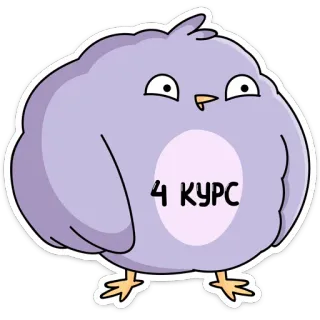 😎 4 КУРС птица, мультик, смешной, милый, животное, школа, университет whatsapp sticker