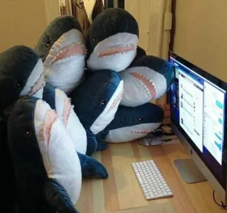 👩‍💻 shark, plush, computer, keyboard, cute, funny, animals whatsapp sticker