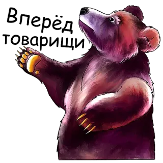 🫡 orso, animale, fauna selvatica, natura, mammifero, cartone animato telegram sticker