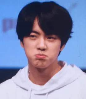 🧐 Jin Jin, BTS, K-pop, ca sĩ, người nổi tiếng telegram sticker