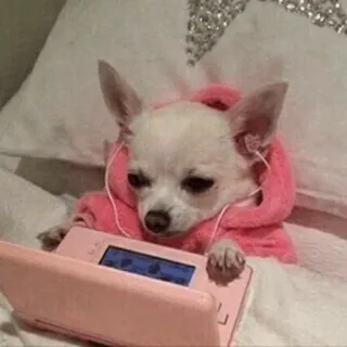 🐾 Hund, Chihuahua, Gamer, DS, Hoodie, Haustier, Tier whatsapp sticker