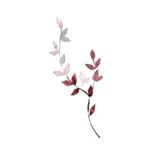 🌫 잎, 수채화, 자연, 식물, 꽃무늬 telegram sticker