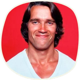 🙂 Arnold Schwarzenegger ator, celebridade, retrato, Arnold Schwarzenegger telegram sticker