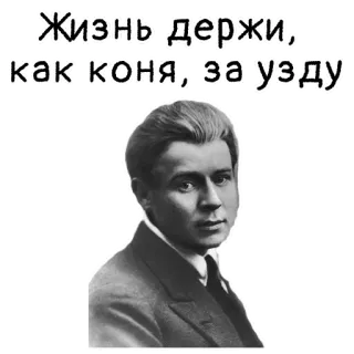 🐴 Жизнь держи, как коня, за узду Russian, life quote, horse reins, man, portrait telegram sticker