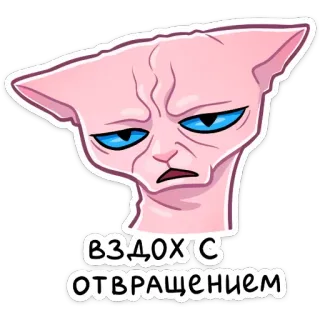 😐 ВЗДОХ С ОТВРАЩЕНИЕМ Katze, Sphynx, Meme, Ausdruck, Russisch, Text, Sticker telegram sticker