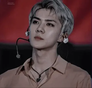 🗝 Sehun kpop, exo, idol, singer, portrait, celebrity, male telegram sticker