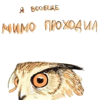 🐣 Я вообще мимо проходил hibou, oiseau, russe, texte, animal telegram sticker