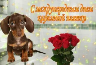 С днём | by @uffchat whatsapp stickers