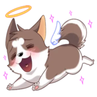 😇 anjing, lingkaran cahaya, sayap, imut, menggemaskan, bahagia whatsapp sticker