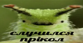 🐛 случился прикол chenille, insecte, mème, blague, drôle, russe telegram sticker
