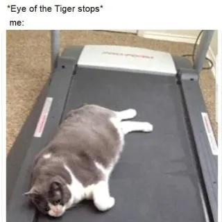 😭 *Eye of the Tiger stops* me: kucing, treadmill, meme, lucu, olahraga telegram sticker
