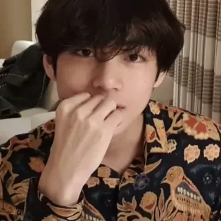 🐺 Kim Taehyung kpop, taehyung, v, bts, idol, cantante telegram sticker