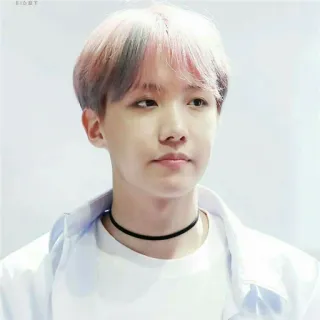 🍍 J-Hope J-Hope, BTS, K-Pop, singer, musician, idol telegram sticker