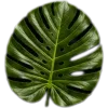 🥥