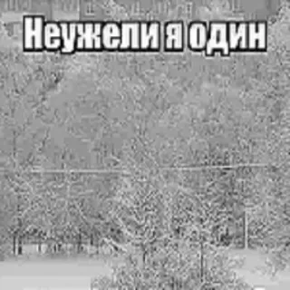 😟 Неужели я один ロシア語, ミーム, テキスト, フレーズ telegram sticker