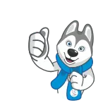 👍 chó, husky, ngón tay cái giơ lên, phim hoạt hình, động vật, khăn quàng cổ telegram sticker