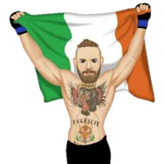 👑 Conor McGregor Конор Макгрегор, боец, ирландский флаг, MMA, бокс, спорт whatsapp sticker