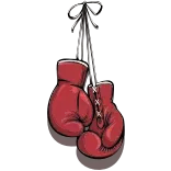 🥊