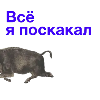 ⛹ Всё я поскакал animal, cerdo, ruso, texto telegram sticker