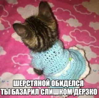 😔 ШЕРСТЯНОЙ ОБИДЕЛСЯ ТЫ БАЗАРИЛ СЛИШКОМ ДЕРЗКО telegram sticker