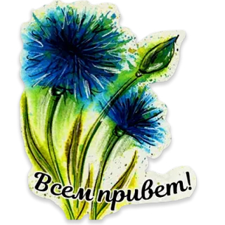 👋 Всем привет! flower, floral, greetings, hello telegram sticker