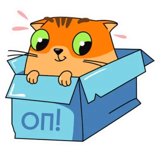 🙉 ОП! кот, коробка, котенок, милый, животное, питомец telegram sticker