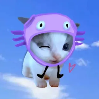 😉 猫, 小猫, 动物, 可爱, 帽子, 云, 天空 telegram sticker