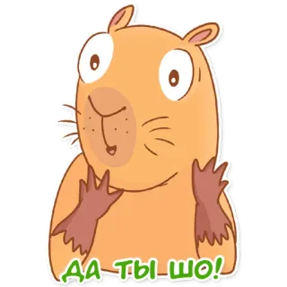😱 ДА ТЫ ШО! capybara, lucu, kocak, binatang, rusia, ekspresi telegram sticker