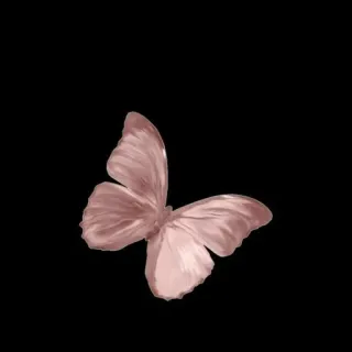 🌑 бабочка, насекомое, природа, крылья, розовый, животное telegram sticker