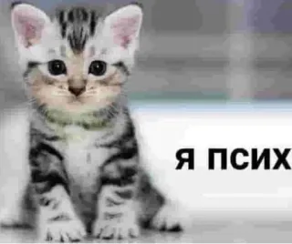 ☺️ Я ПСИХ telegram sticker