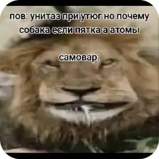 😐 пов: унитаз при утюг но почему собака если пятка а атомы
самовар: ライオン, ミーム, 面白い, 動物, ユーモア, ロシア telegram sticker