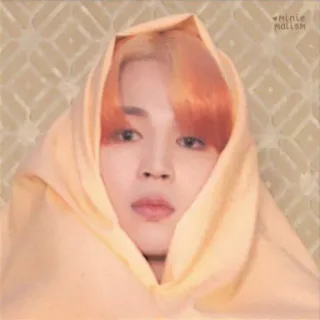 🌷 Jimin K-Pop, Jimin, BTS, Ídolo, Persona, Celebridad whatsapp sticker