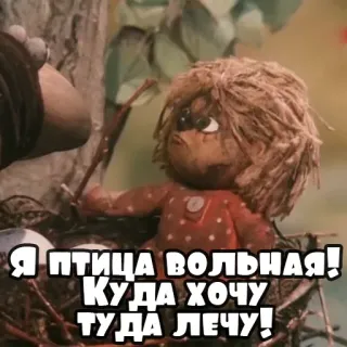 🦅 Я птица вольная! Куда хочу туда лечу! bird, puppet, text, animation, russian telegram sticker
